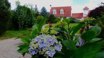 Фотографии Дома для отпуска Ievnieki Guest House г. Cenkone (Латвия) №5 Фото Дома для отпуска Ievnieki Guest House г. Cenkone 5